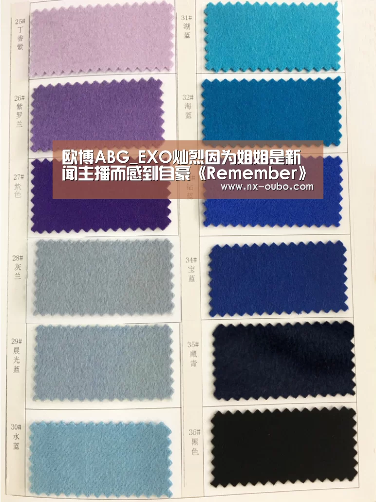 欧博ABG_EXO灿烈因为姐姐是新闻主播而感到自豪《Remember》13.4%再次刷新自身收视记录(图3) 欧博ABG