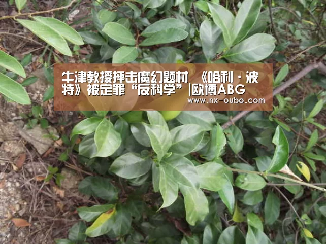 牛津教授抨击魔幻题材 《哈利·波特》被定罪“反科学”|欧博ABG(图1) 欧博平台