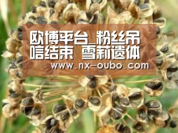 欧博官网