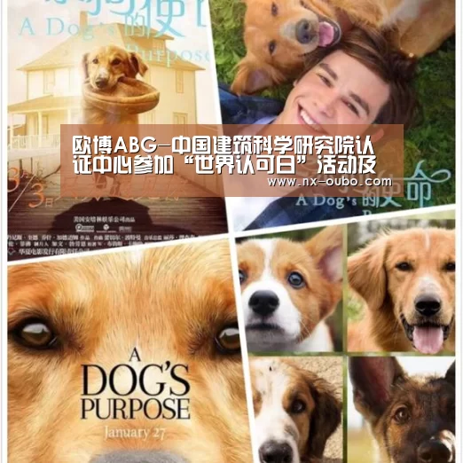 abg欧博官网